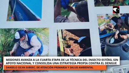 Misiones avanza a la cuarta etapa de la técnica del insecto estéril sin apoyo nacional