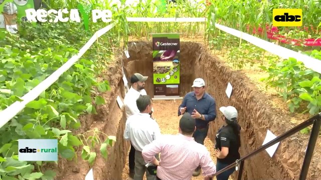 Video: Polímero que retiene humedad en el suelo y lo libera a las plantas