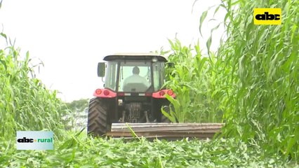 Video: Simposio de Siembra directa 2023 esta a punto