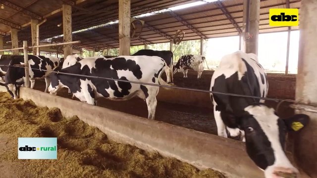 Video: La sucesión en empresas familiares y cómo planificarlas