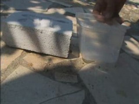 construction d'un nid 2 [élevage de fourmis]