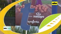 Video: Transagro y su trabajo en el Chaco con los productores