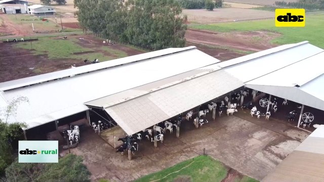 Video: Fortalezas y debilidades en la lechería nacional y nuevas cuencas
