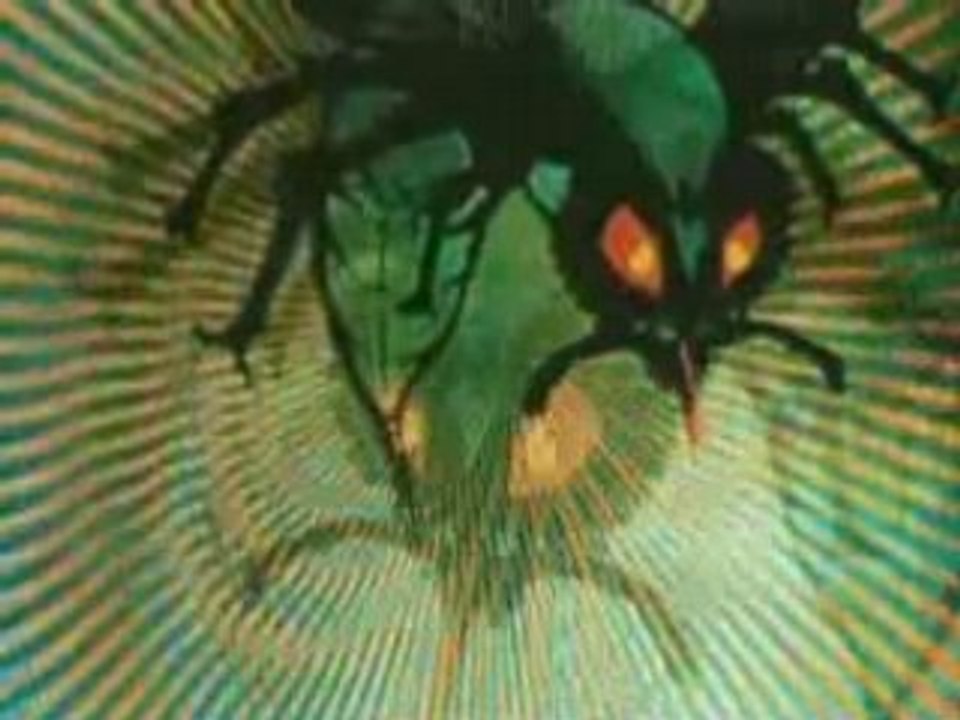 Le frelon vert (Bruce Lee) generique