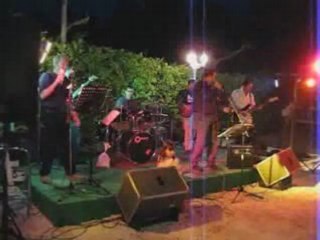 Le pinada fleur de ma ville 23 mai 2008