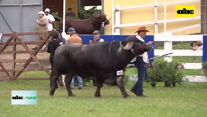 Video: Mas de G. 12.000 millones en remates de la Expo Mariano 2023