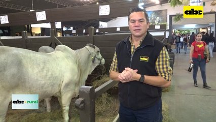 Video: Carne Paraguaya a EEUU, situación en porcinos, aves y leche en polvo