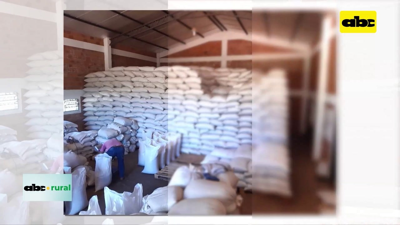Video: De enero a junio de 2023 sésamo ya ingreso US$ 31 millones