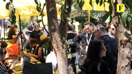 Mercado Ads evoluciona con una sólida estrategia de co-branding