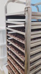 Songes et Cacao : L'artisanat du cacao cru à Lamastre