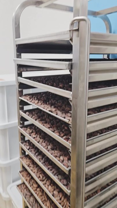 Songes et Cacao : L'artisanat du cacao cru à Lamastre