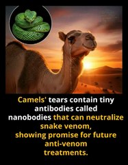 Amazing Science shorts videos