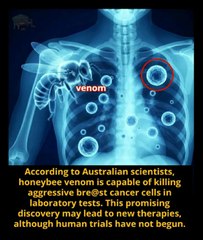 Amazing Science shorts videos