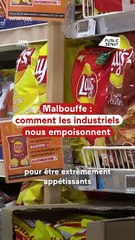 Malbouffe 🍔 comment les industriels nous empoisonnent