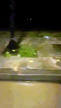 Κακοκαιρία Byron: To συγκλονιστικό βίντεο του Μιχάλη Λεβεντογιάννη από τους δρόμους της Αθήνας