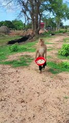 Amazing Best SokYalla, OG, Pao & Mom Are Famous  Job Best SokYaa, OG, Pao & Mom Are Famous Around The World #shorts #anime #trend #edit