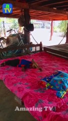 Good Job Best SokYaa, OG, Pao & Mom Are Famous Around The World #shorts #anime #trend #edit