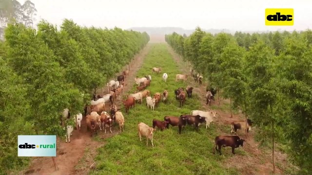 Video: Asociaciones Rurales del Mercosur preocupadas con exigencias de la Unión Europea