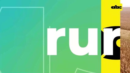 Video: programa de control de malezas tras cosecha de maíz