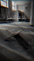 Beautiful Quran Recitation #shorts #trend #trending #shorts #trend #trending #foryou