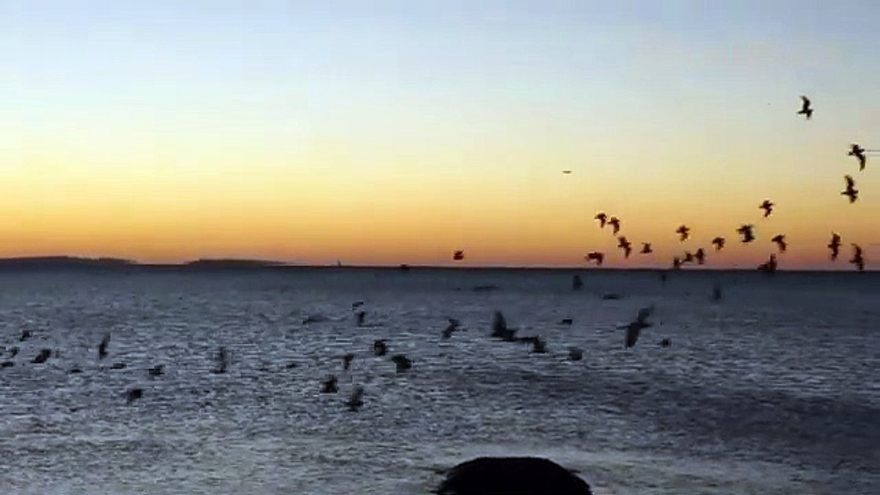 موسيقى _ الاسترخاء _ هدوء _  الليل Relaxing music, quiet night