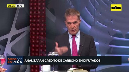 Video: analizarán el Crédito de Carbono en Cámara de Diputados