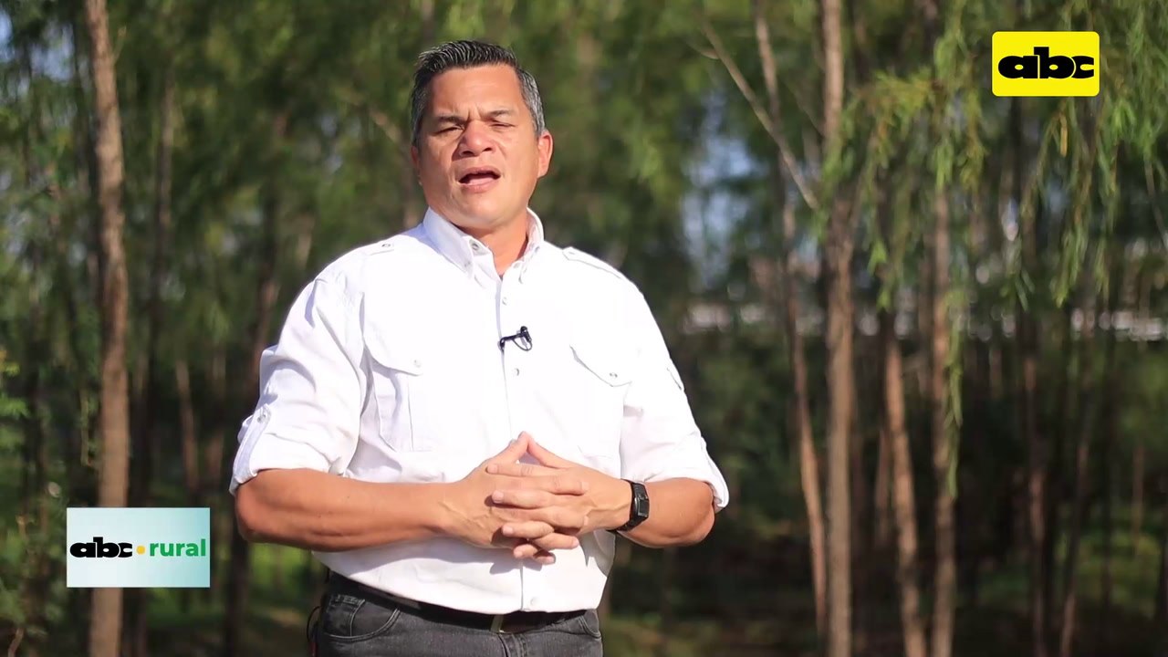 Video: Zootecnista brasileña habla de evolución de la raza Dorper en su país