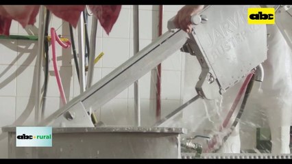 Video: exportación de carne de cerdo sube un 500 por ciento