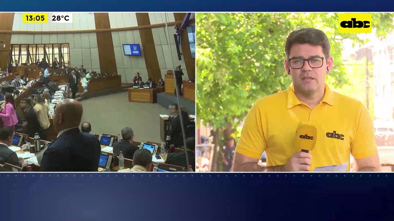 Ley de Conflicto de Intereses: Contralor en contra de sanción en Cámara de Diputados