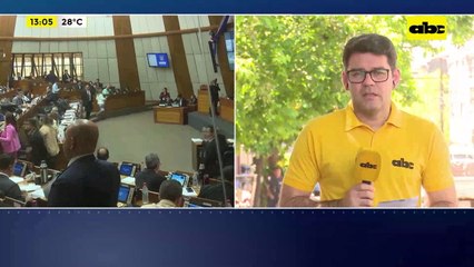 Ley de Conflicto de Intereses: Contralor en contra de sanción en Cámara de Diputados