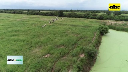 Video: presidenta de Infona habla de mapas sobre pasturas y cultivos