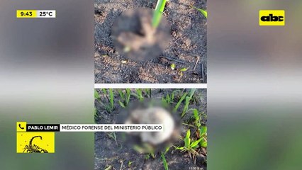 Video: descartan que restos óseos hallados sean de los secuestrados