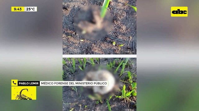 Video: descartan que restos óseos hallados sean de los secuestrados