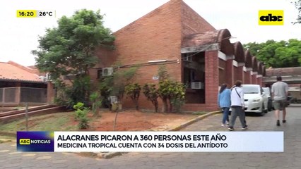 Video: alacranes picaron a 360 personas este año