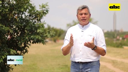 Video: productores lecheros absorben aumentos de costos de la industria