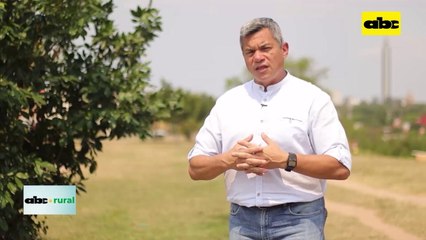 Video: nutrición que ayuda a ganaderos para emitir menos carbono