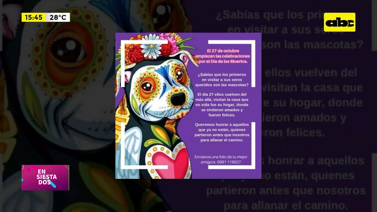 Video: los perros también festejan el “Día de los Muertos”