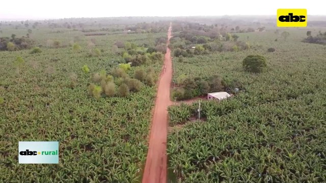 Video: manejo de banana y buenas practicas de embalaje