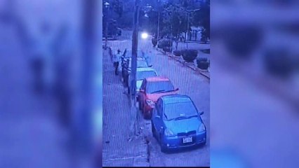 Así actúan tortoleros en Carapeguá