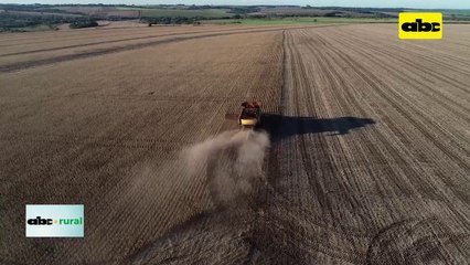 Video: Paraguay ya exportó 5,1 millones de toneladas de soja de la campaña 2022/2023