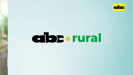 Video: diferencia entre parcela con siembra directa y sin siembra directa