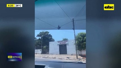 Video: el “Hombre mono” intentó robar cables
