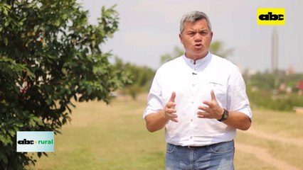 Video: estrategias y herramientas de control de enfermedades en soja