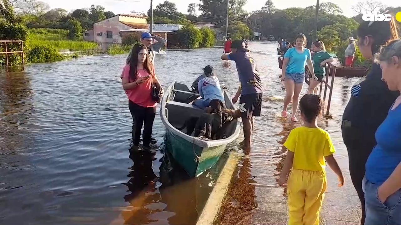 Rescate De Animales