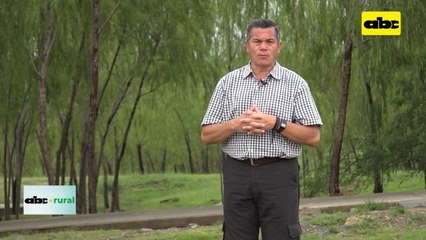 Video: diferencias entre aplicación de producto, con gota fina y gota gruesa