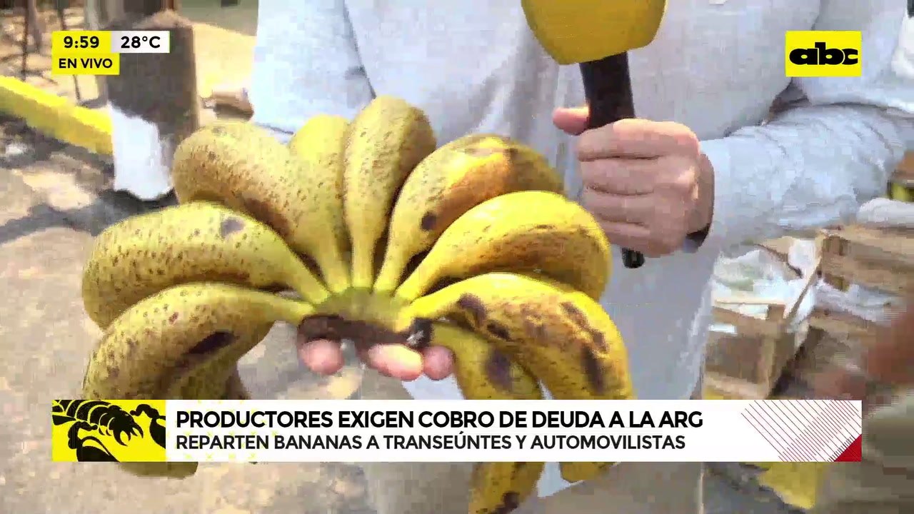 Video: productores de bananas exigen pago a la Argentina