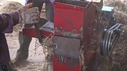 Primera casa hecha con fibra de cannabis en Paraguay