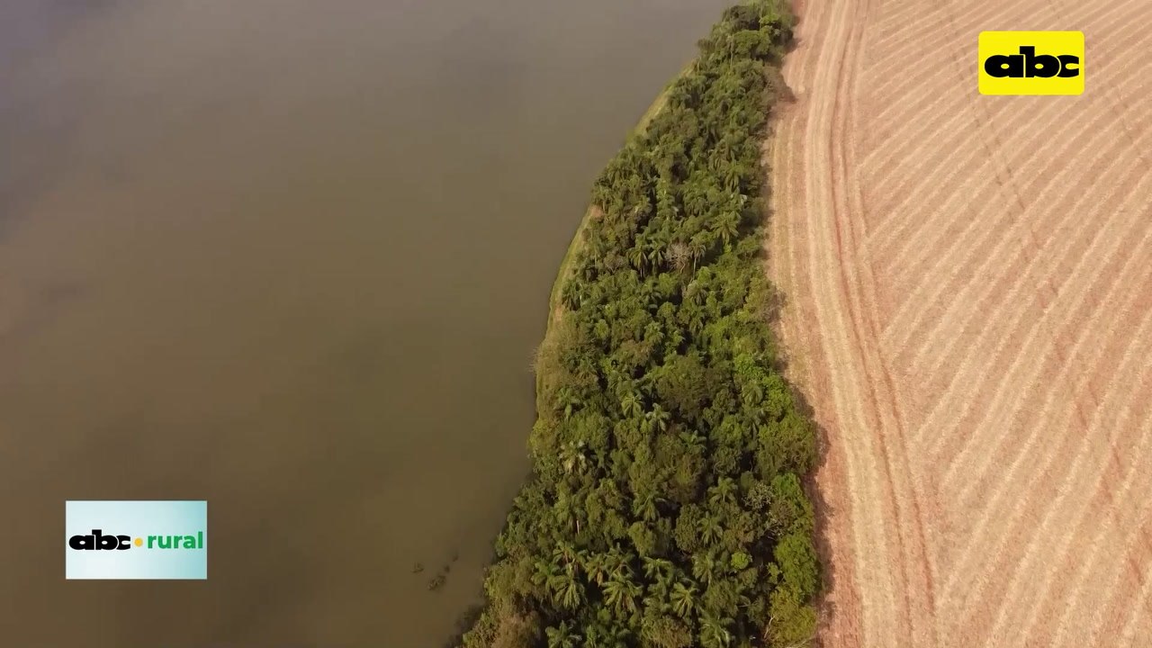 Video: cría de peces en cautiverio, especies y producción nacional