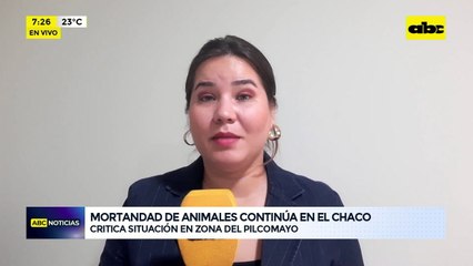 Video: mortandad de animales continúa en el Chaco