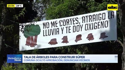 Video: Comuna autorizó tala de casi 80 árboles para construcción de supermercado